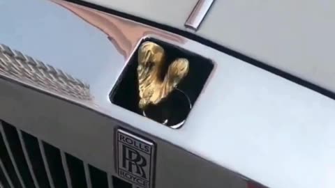 Rolls Royce’s Spirit of Ecstasy vs. Dog in the Bonnet—Watch This Funny Parody! 🏎️🐶