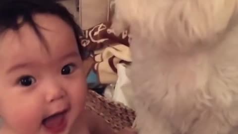 babies and their dog / best moments of this conversation, funny videos