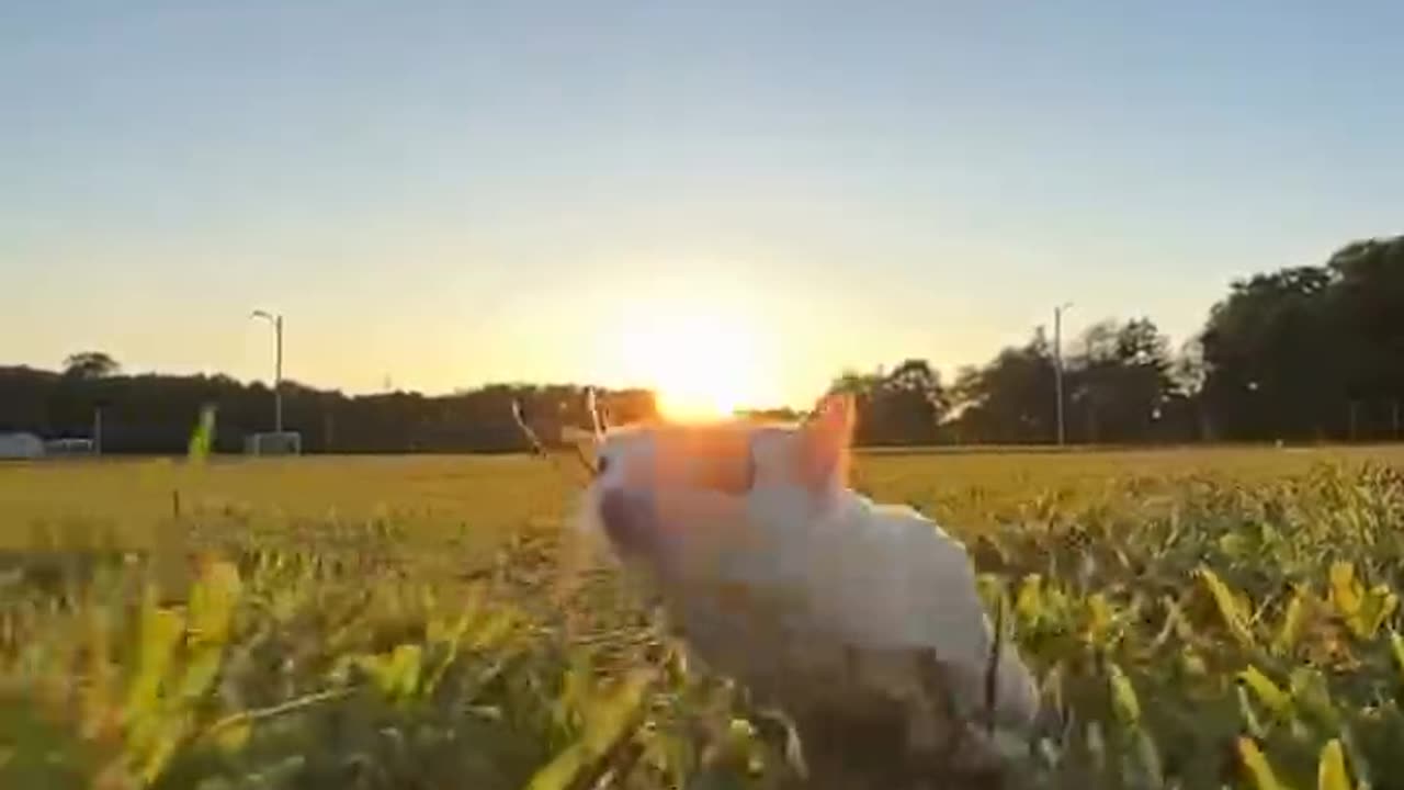 Out and about in the wide open spaces