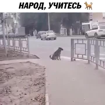 Learning Учимся