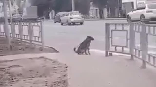 Learning Учимся