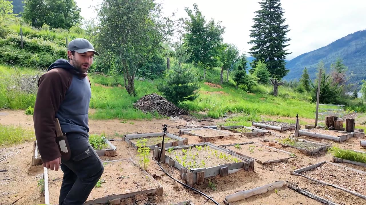 Zero Fox Tree Crops: Farm Tour By Lindsay Brandon of Permaculture Canada