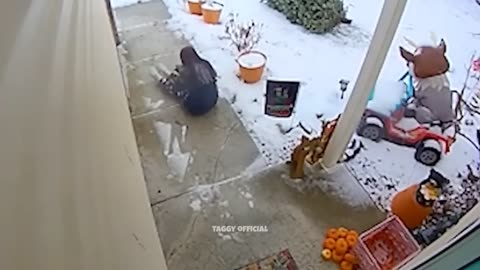 Funniest Fails Of The Week!