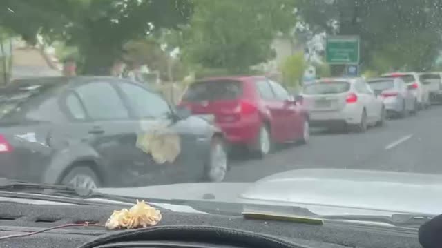 Idiot Australians Line Up for Miles for Testing