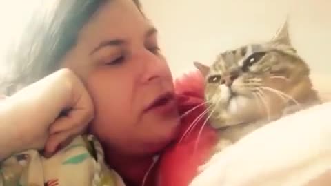 Talking cat says NO!