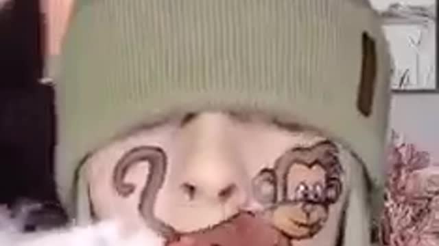 Very Very most Entertainment Video