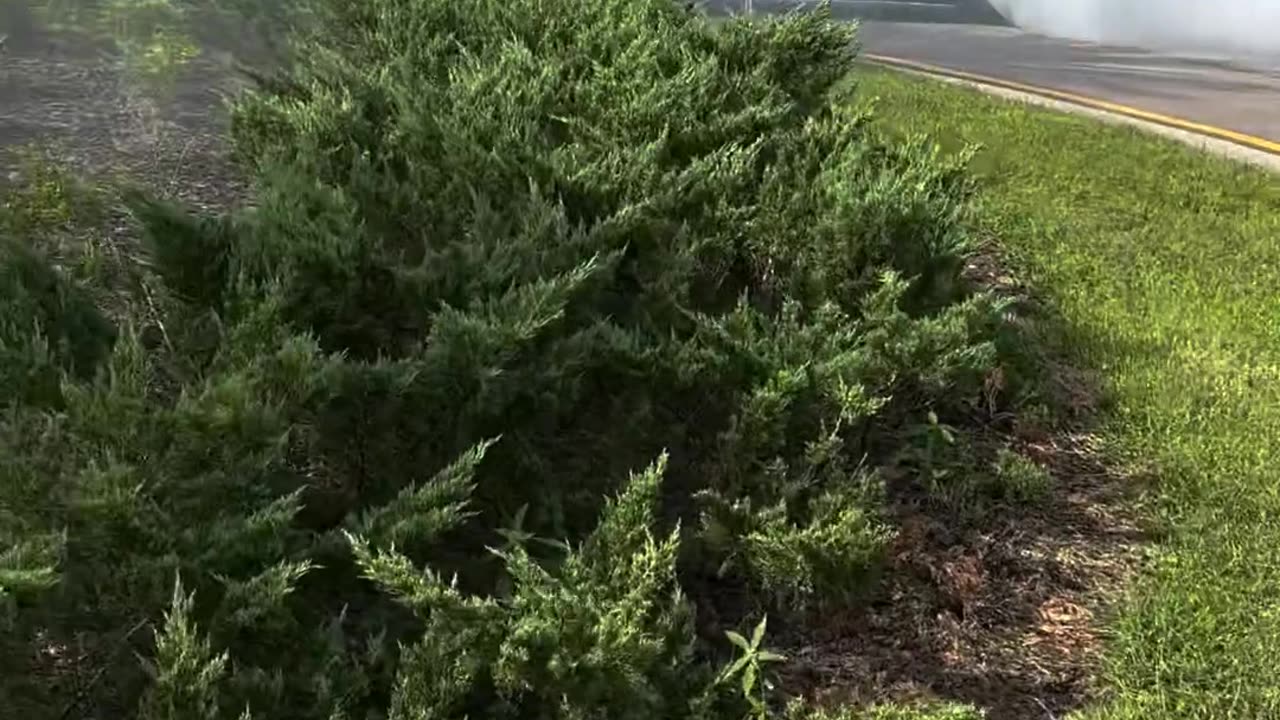 Black car drift