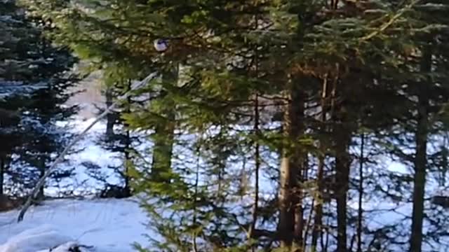 Frozen in the air!! Suddenly