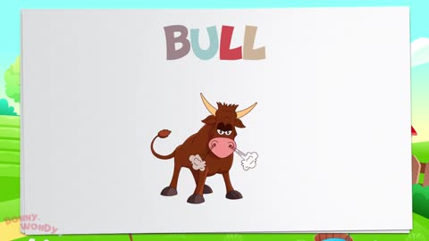 FOR THOSE WHO DO NOT KNOW ANIMALS