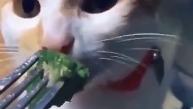 Do you intend to kill me Marcia??