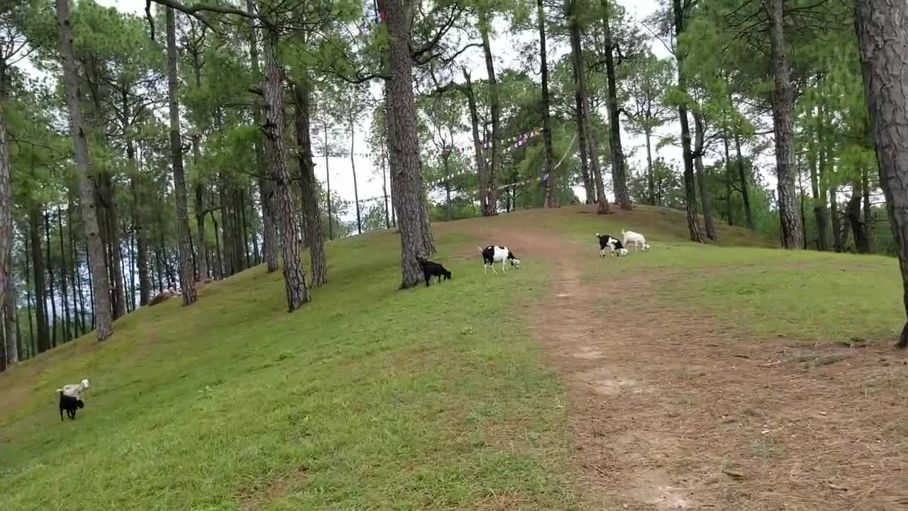 beautiful hill near kathmandu