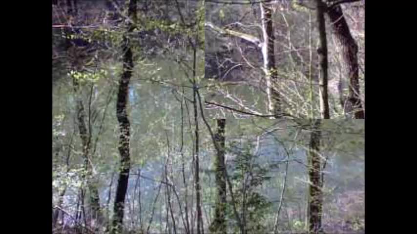 Dillsgraben im Vorharz bei Bockenem