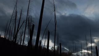 Erie Time Lapse Video Of Clouds Over Dead Plants