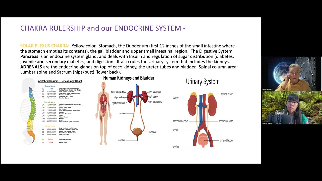 Chakra's Part 1 - Eileen Nauman