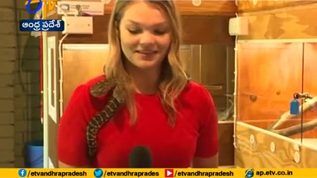snake attacks reporter