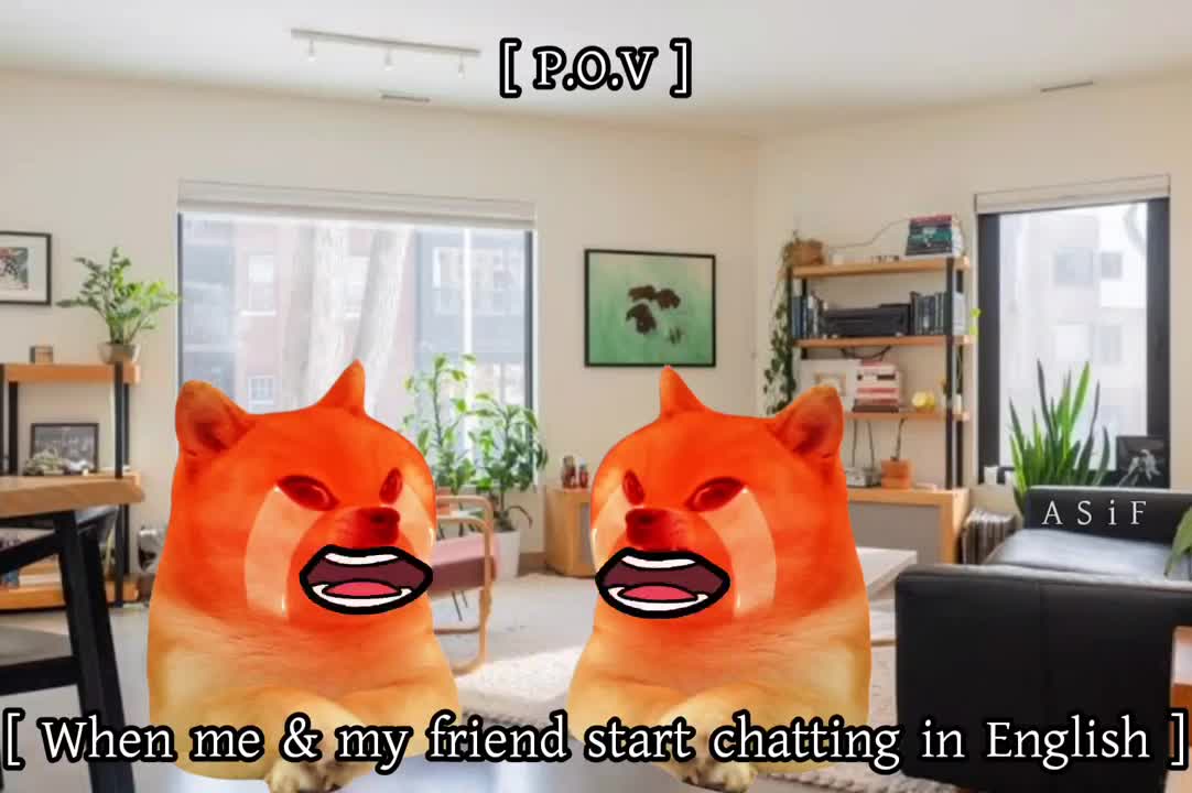 Funny Doge Meme