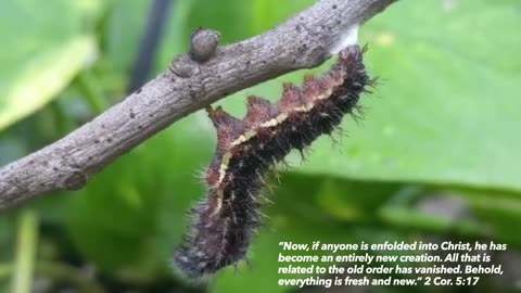 Change is still possible...