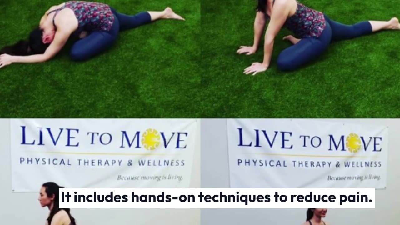 Transform Your Health with Physical Therapy and Wellness Programs