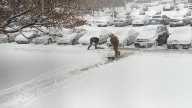 Apartment Maintenance Worker Shovels Snow onto Cars