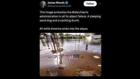 James Woods - this image embodies Biden/Harris failure