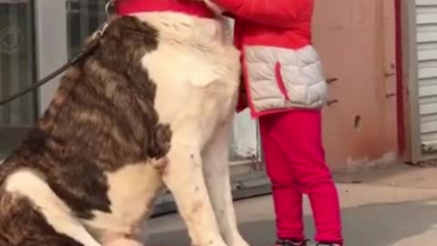 It is my good friend