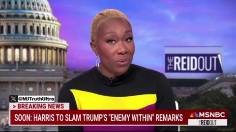Joy Reid - Trump will March non-white people in camps at gun point. 🤦🏻‍♂️