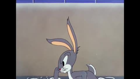 Elmer's Pet Rabbit