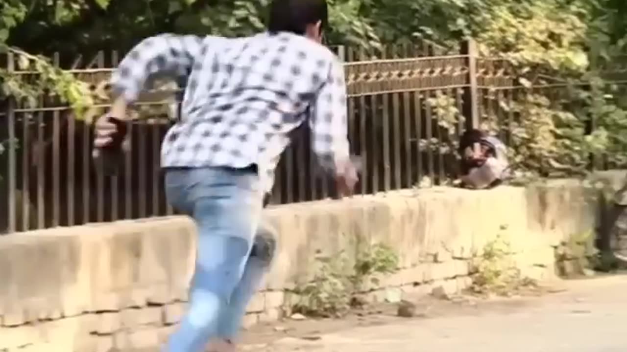 World pranks