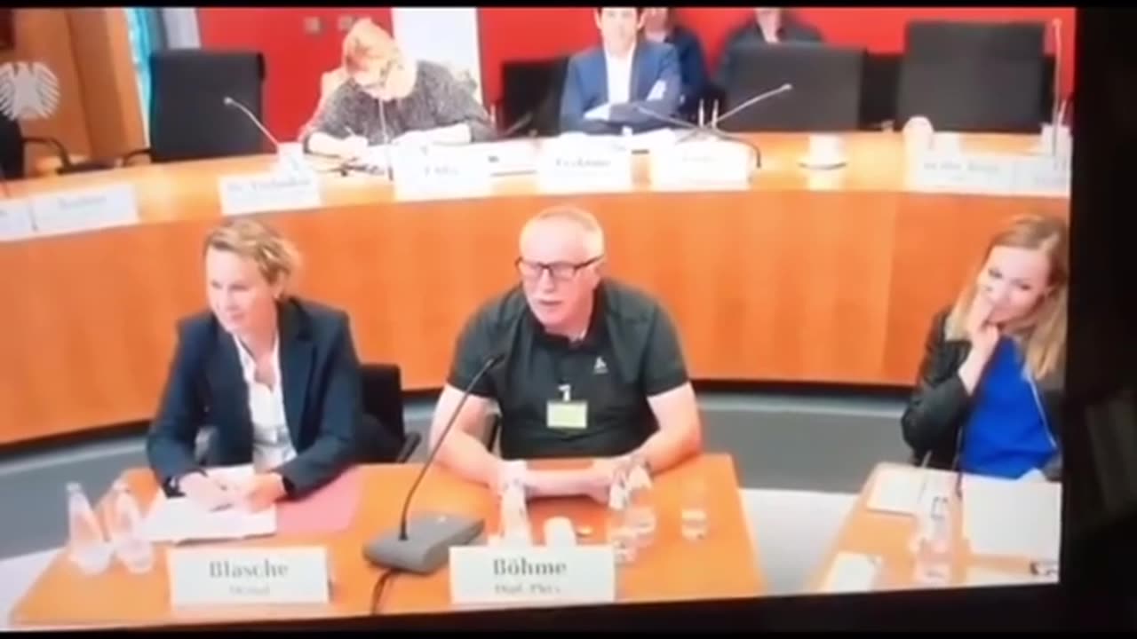 Physiker zu Windkraft im Ausschuss des Bundestages