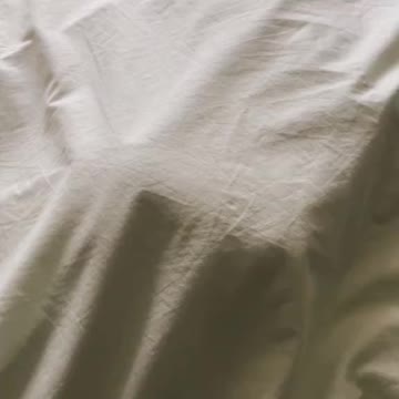 Cat are playing and sleeping with me