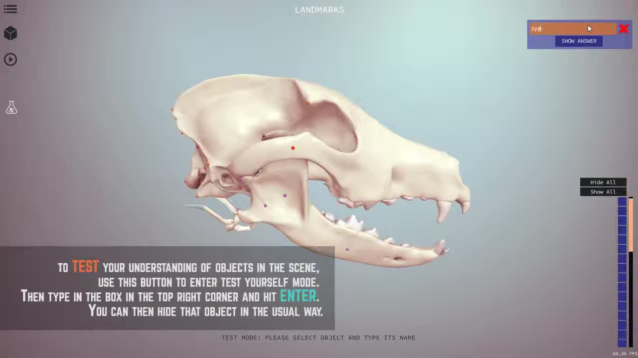 Interact in 3D - 3D Veterinary Anatomy, IVALA