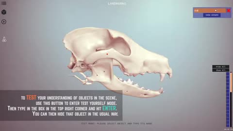 Interact in 3D - 3D Veterinary Anatomy, IVALA