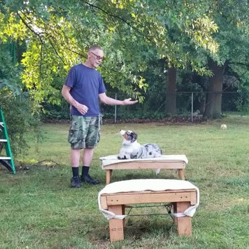 Back to the Basics: Stop , Back, Figure Six cut 15