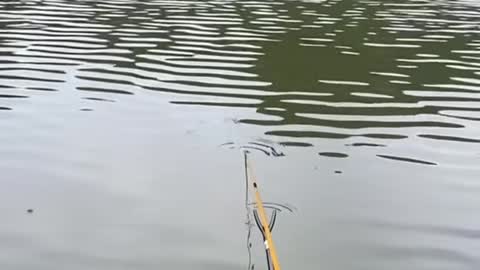 Fishing