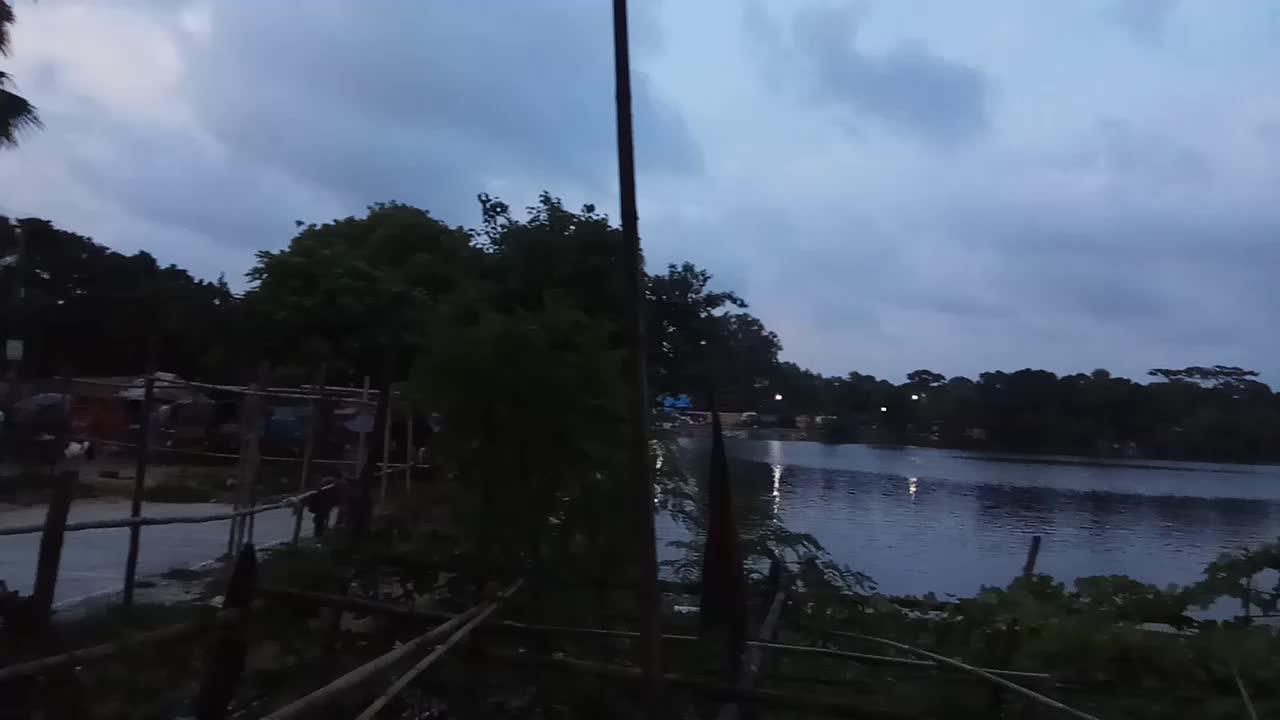 Nature video of my