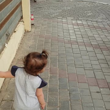 Little baby playing with cat