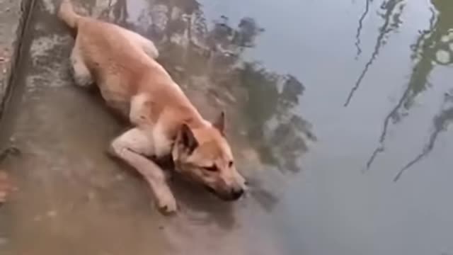 Just chillin' and making bubbles