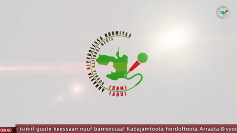 Oduu Waaree ONM-ABO Hagayya 19-2024 itti dhiyaadhaa!
