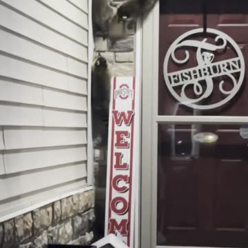 Anybody home? 🦝🏡🤣