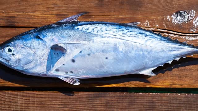 魚油omega-3 食療抗癌！