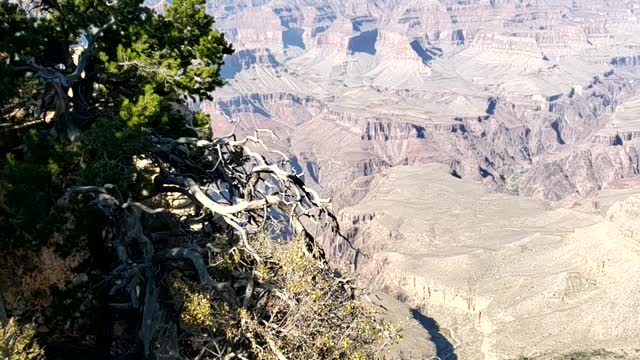 Grand Canyon South Rim