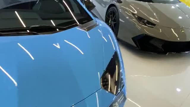 Lamborghini best of the world cup😰😮😮😮😰🥴🥴🤣🤣🤣