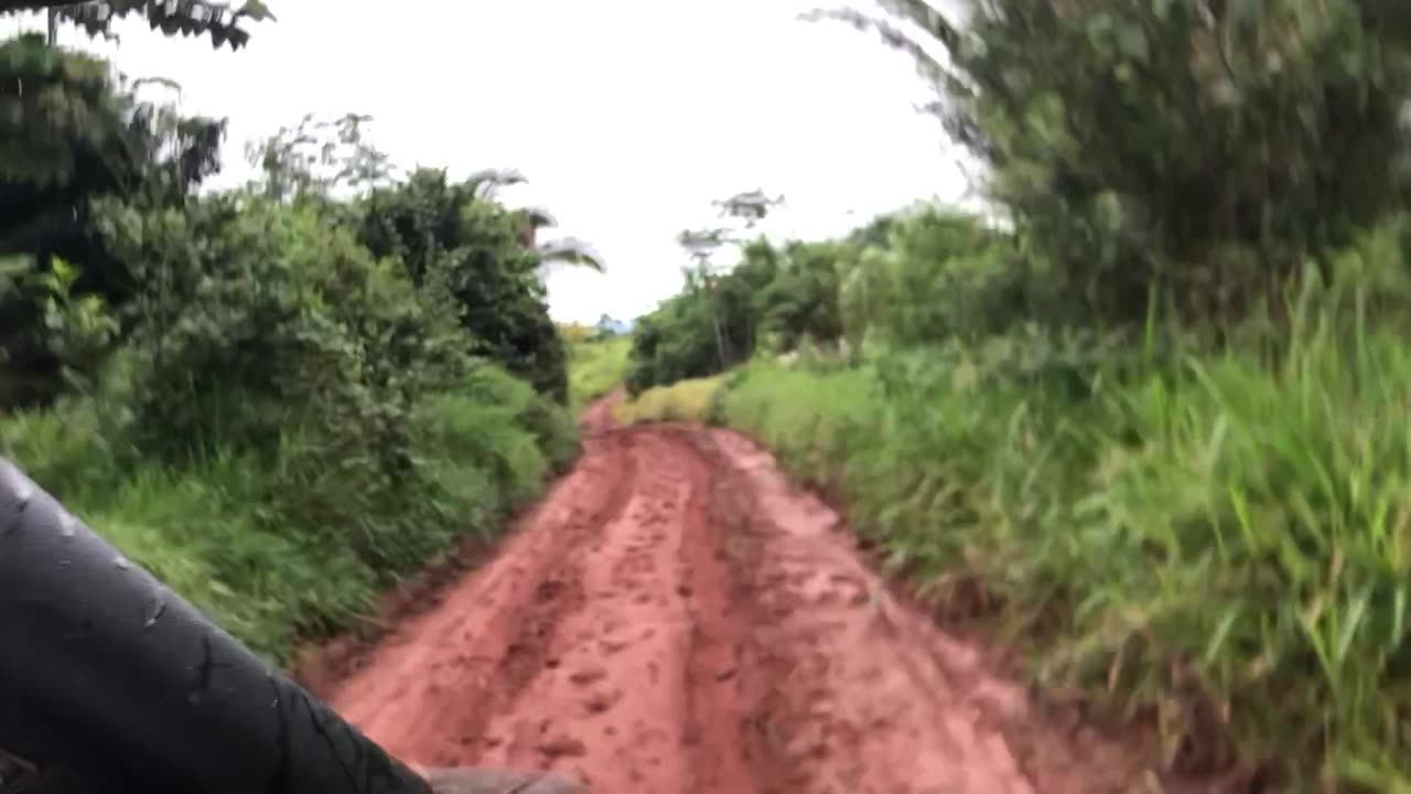 Mud running in the jungle