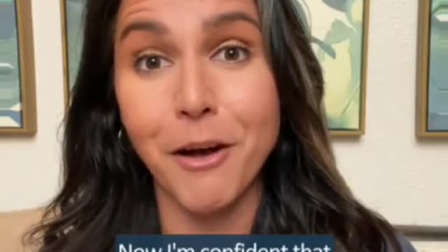 Tulsi Gabbard comments on parental rights