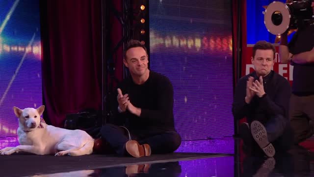 Judges Cry Over Emotional Dog Magic Act on Britains Got Talent 2020 Magicians Got Talent_1080p.mp4