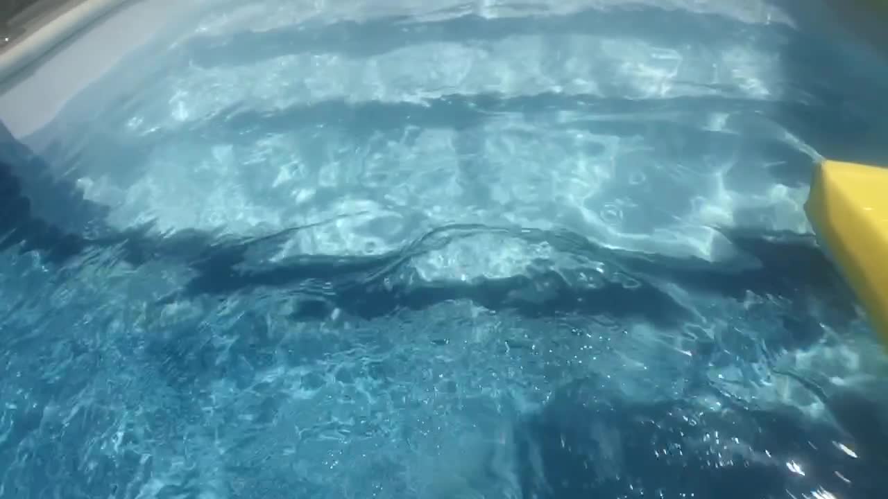 Doggy paddle filmed in slow motion