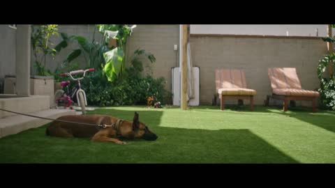 CHIEN | Bande annonce officielle | Studios MGM