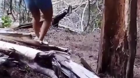 The end 😂😂😂 #funny #fails #shorts #reels #viral #humorexpose