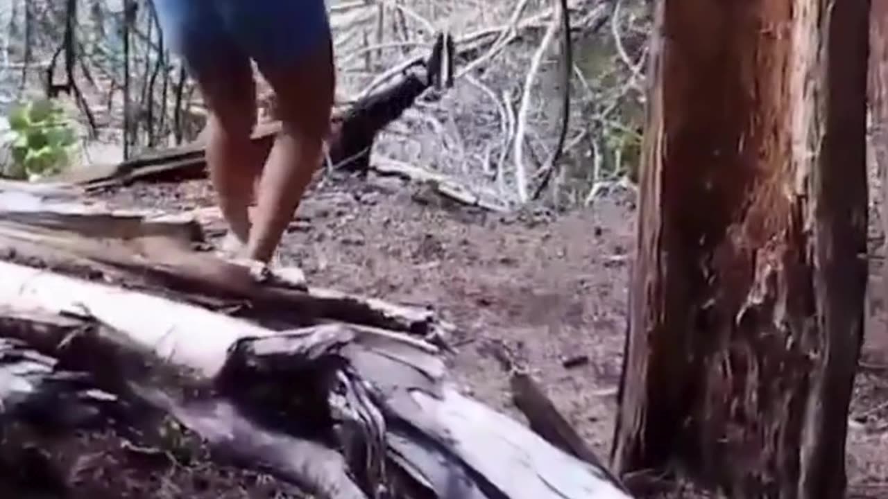 The end 😂😂😂 #funny #fails #shorts #reels #viral #humorexpose