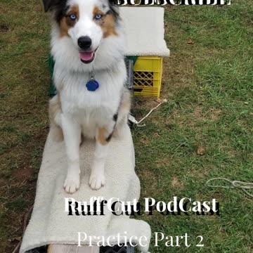 Ruff Cut PodCast .... Raised Platform and Balance Beam part 2 section 1